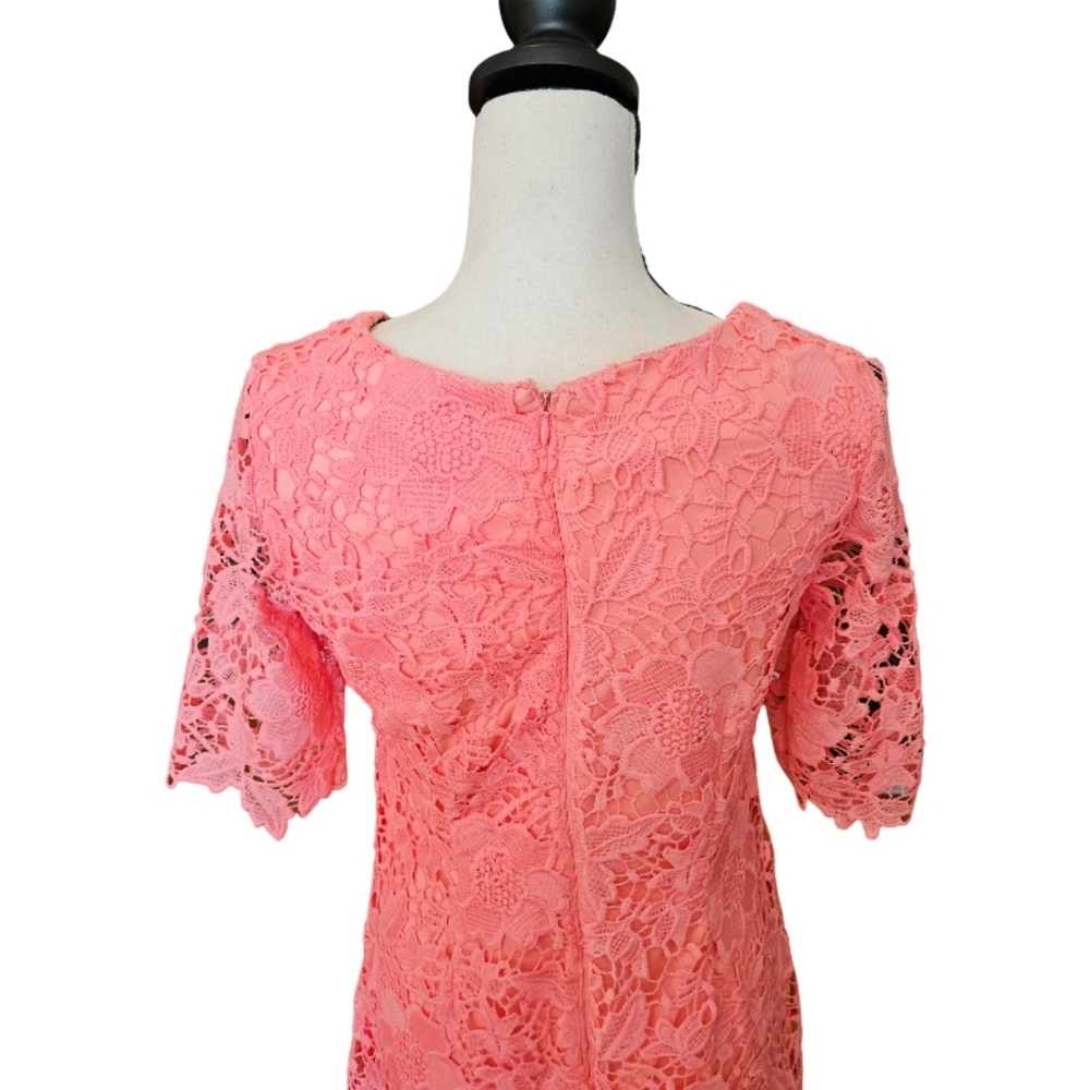Sandra Darren Coral Laced Dress - Picture 6 of 9